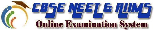 JEE Mains and Advanced Online Examination System Logo